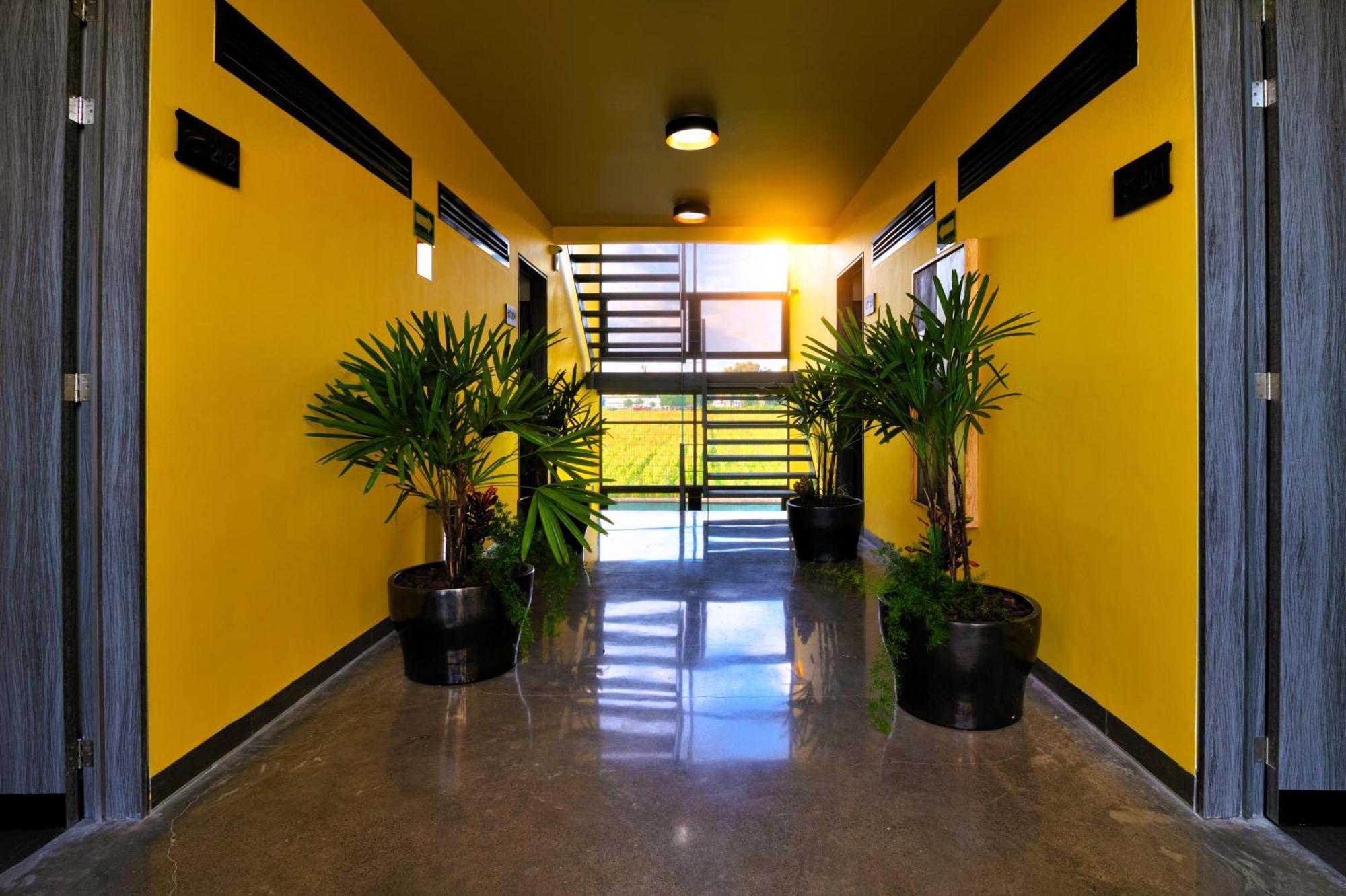 Aparthotel Arboleda 5 Luxury Lofts à Silao Extérieur photo